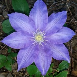 Meet your Posher, Tania